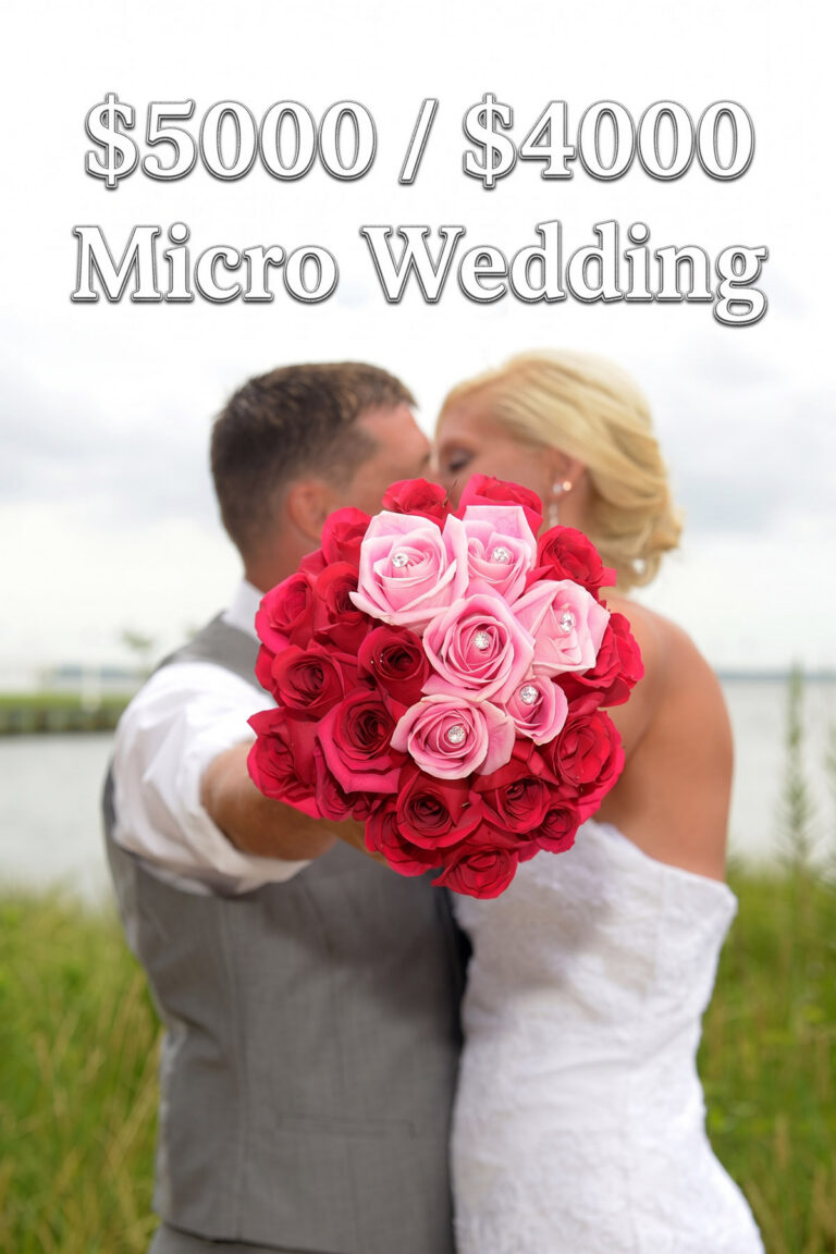 Micro Wedding